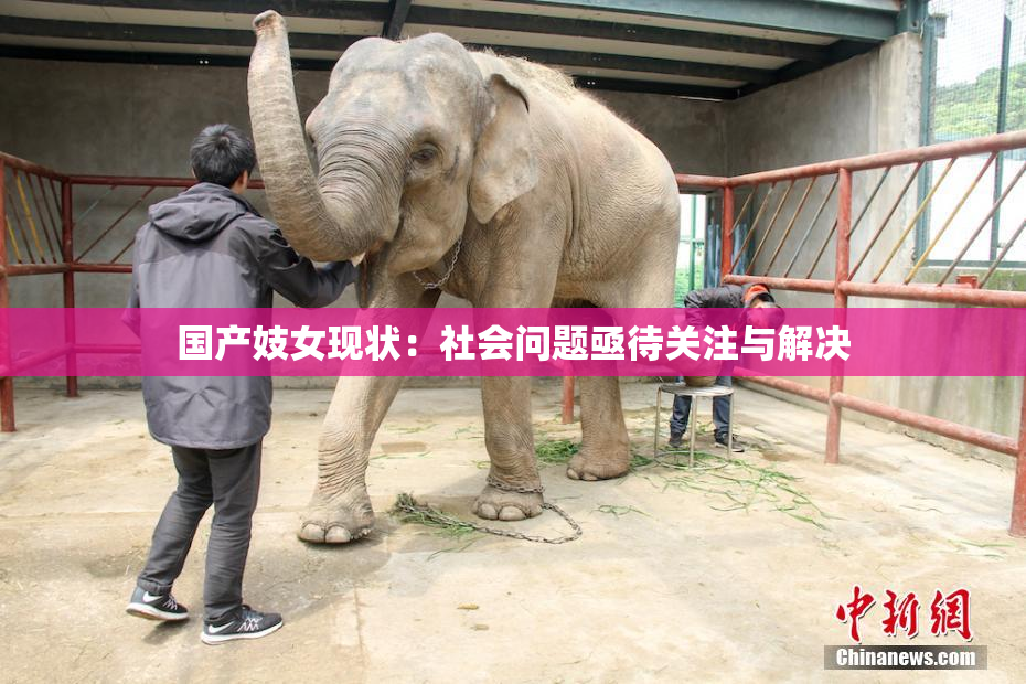 国产妓女现状：社会问题亟待关注与解决