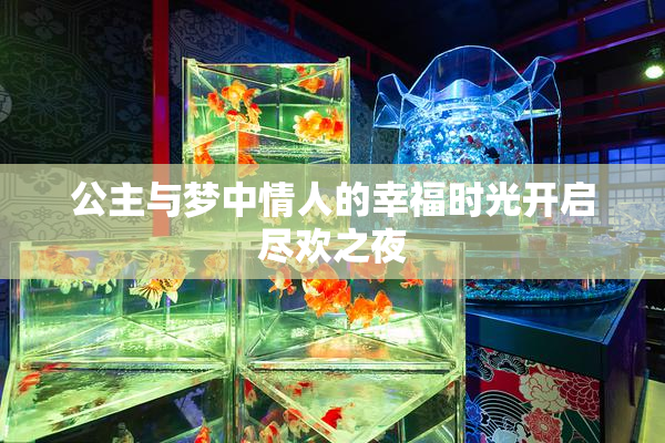 公主与梦中情人的幸福时光开启尽欢之夜