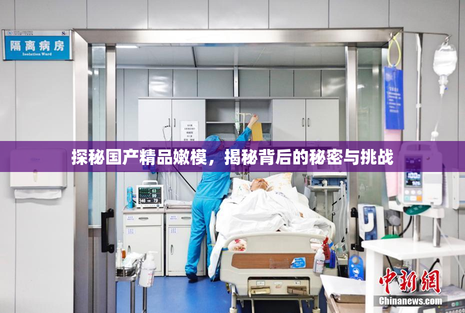 探秘国产精品嫩模，揭秘背后的秘密与挑战