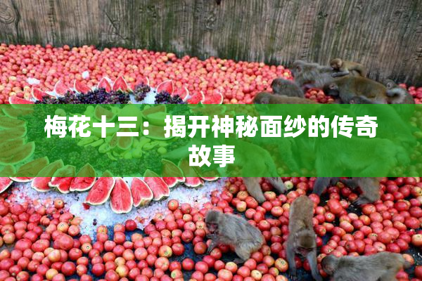 梅花十三：揭开神秘面纱的传奇故事