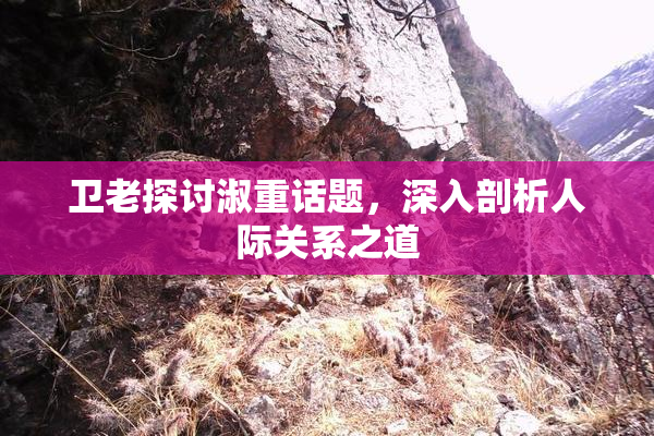 卫老探讨淑重话题，深入剖析人际关系之道