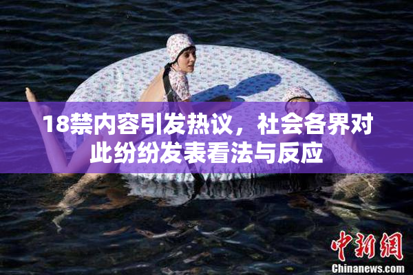 18禁内容引发热议，社会各界对此纷纷发表看法与反应
