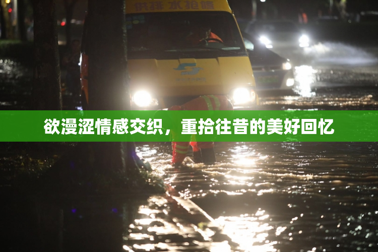 欲漫涩情感交织，重拾往昔的美好回忆