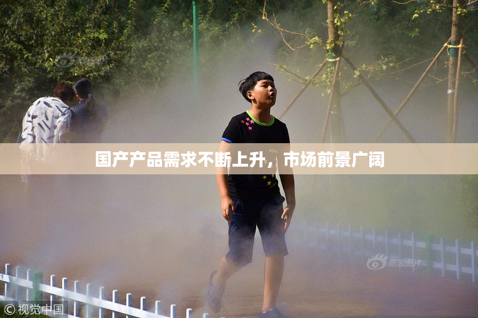 国产产品需求不断上升，市场前景广阔