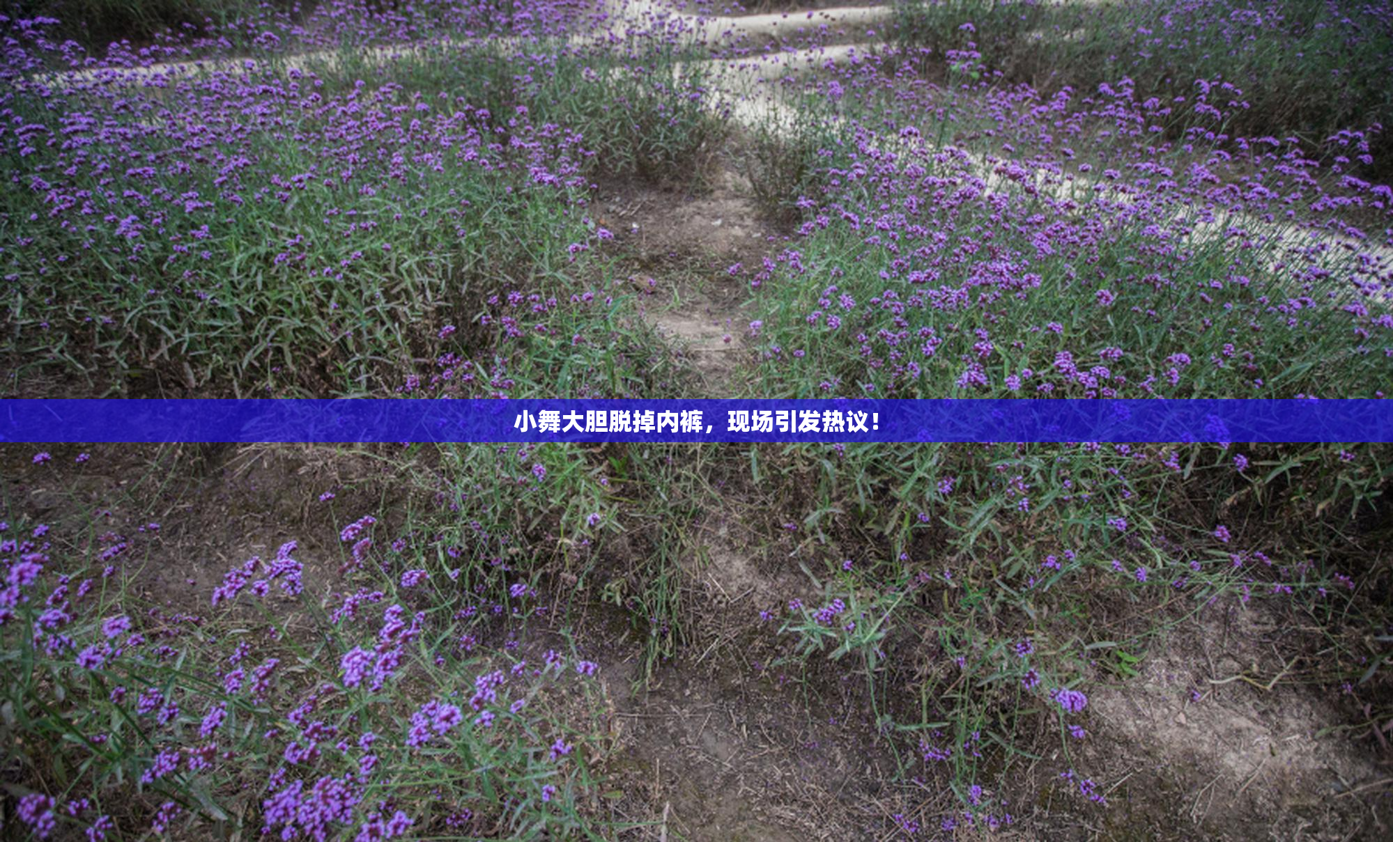 小舞大胆脱掉内裤，现场引发热议！