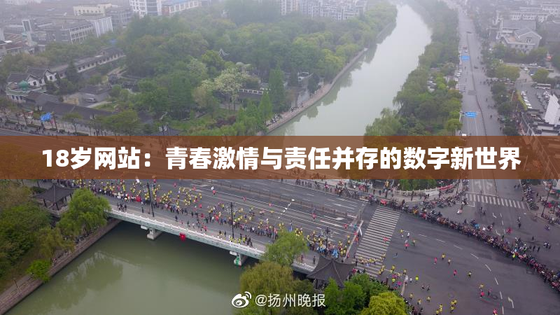 18岁网站：青春激情与责任并存的数字新世界