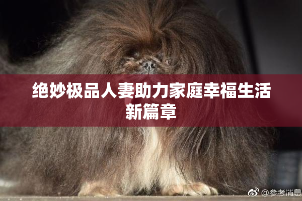 绝妙极品人妻助力家庭幸福生活新篇章