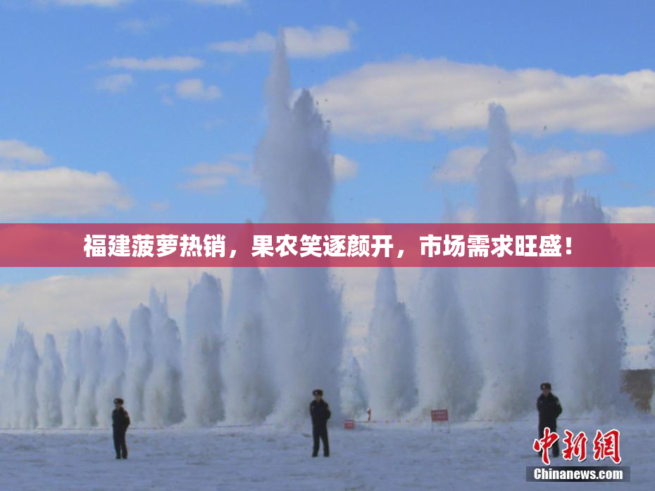 福建菠萝热销，果农笑逐颜开，市场需求旺盛！