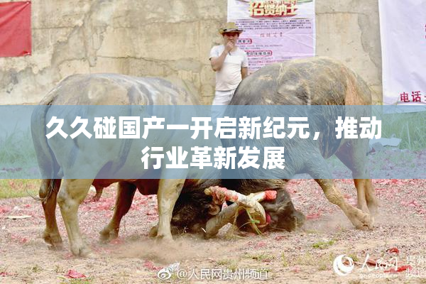 久久碰国产一开启新纪元，推动行业革新发展