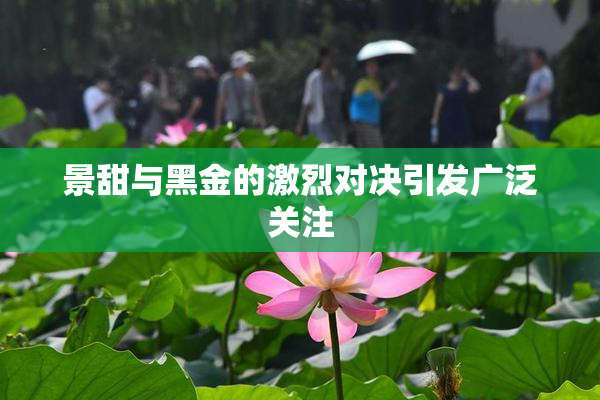 景甜与黑金的激烈对决引发广泛关注
