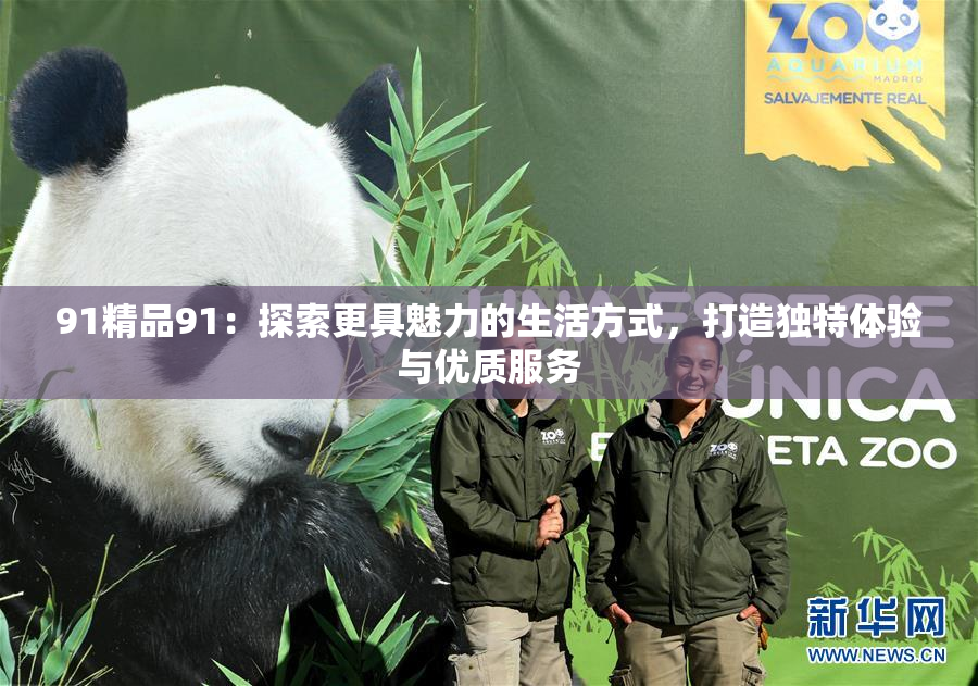 91精品91：探索更具魅力的生活方式，打造独特体验与优质服务