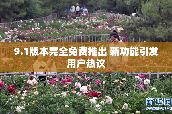 9.1版本完全免费推出 新功能引发用户热议