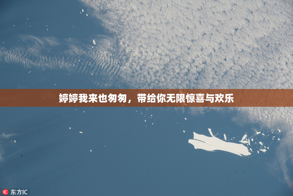 婷婷我来也匆匆，带给你无限惊喜与欢乐