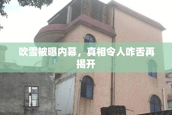 吹雪被曝内幕，真相令人咋舌再揭开