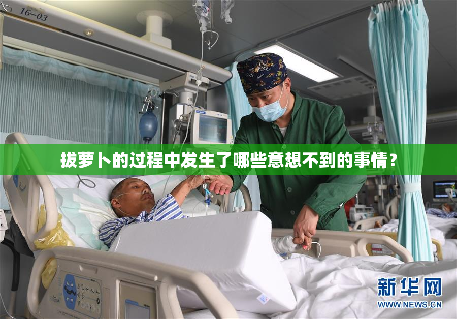 拔萝卜的过程中发生了哪些意想不到的事情？