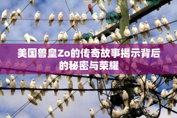 美国兽皇Zo的传奇故事揭示背后的秘密与荣耀