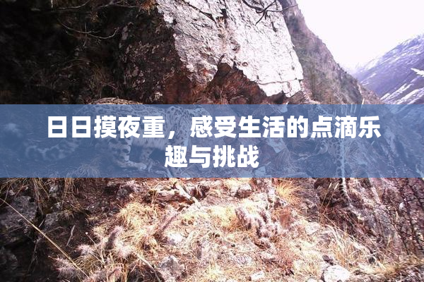 日日摸夜重，感受生活的点滴乐趣与挑战