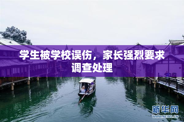 学生被学校误伤，家长强烈要求调查处理