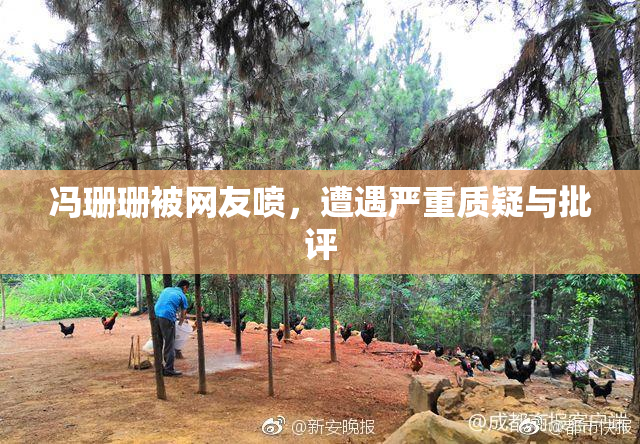 冯珊珊被网友喷，遭遇严重质疑与批评