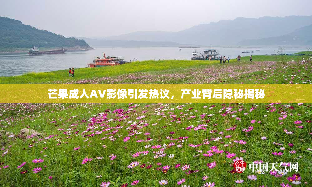 芒果成人AV影像引发热议，产业背后隐秘揭秘