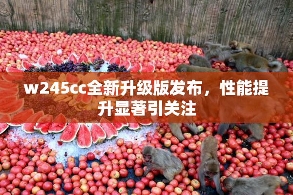 w245cc全新升级版发布，性能提升显著引关注