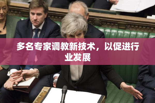 多名专家调教新技术，以促进行业发展