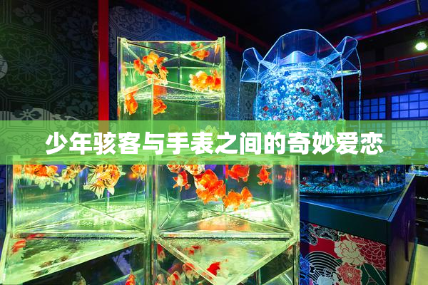 少年骇客与手表之间的奇妙爱恋
