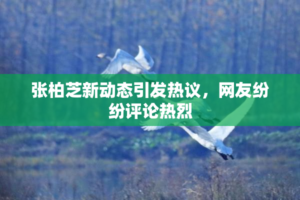 张柏芝新动态引发热议，网友纷纷评论热烈
