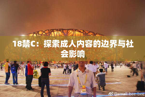 18禁C：探索成人内容的边界与社会影响