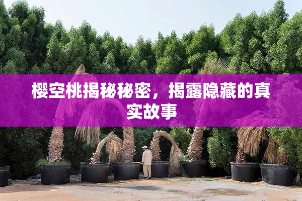 樱空桃揭秘秘密，揭露隐藏的真实故事