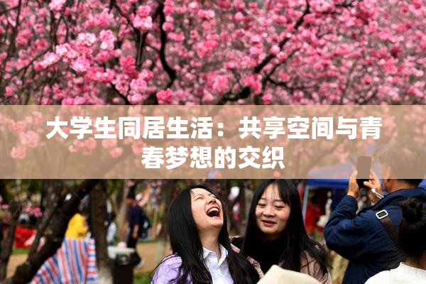大学生同居生活：共享空间与青春梦想的交织
