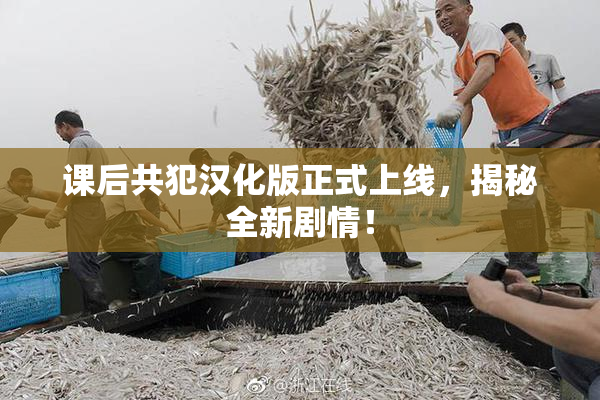 课后共犯汉化版正式上线，揭秘全新剧情！