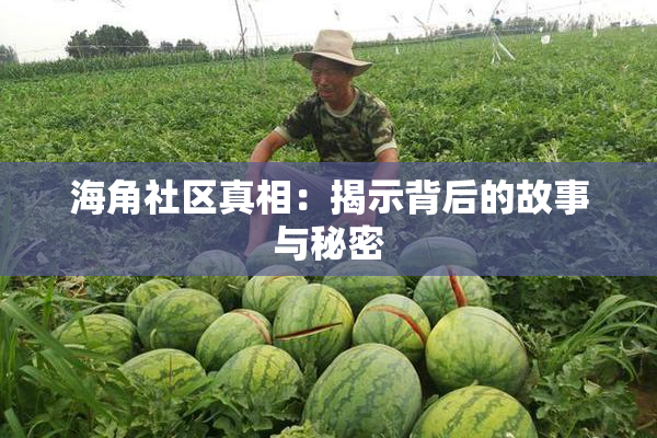 海角社区真相：揭示背后的故事与秘密