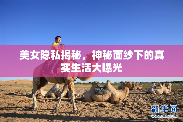 美女隐私揭秘，神秘面纱下的真实生活大曝光