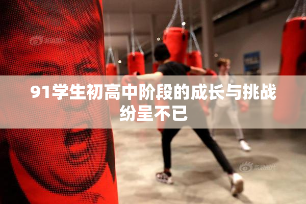 91学生初高中阶段的成长与挑战纷呈不已