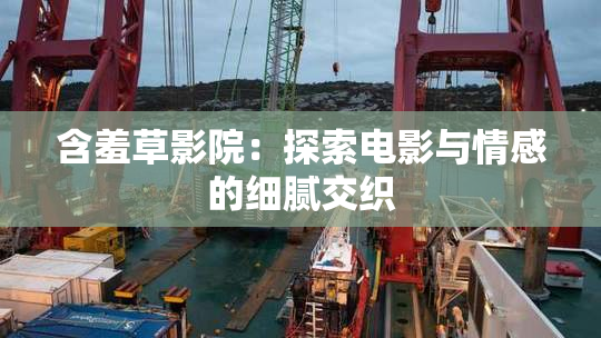 含羞草影院：探索电影与情感的细腻交织