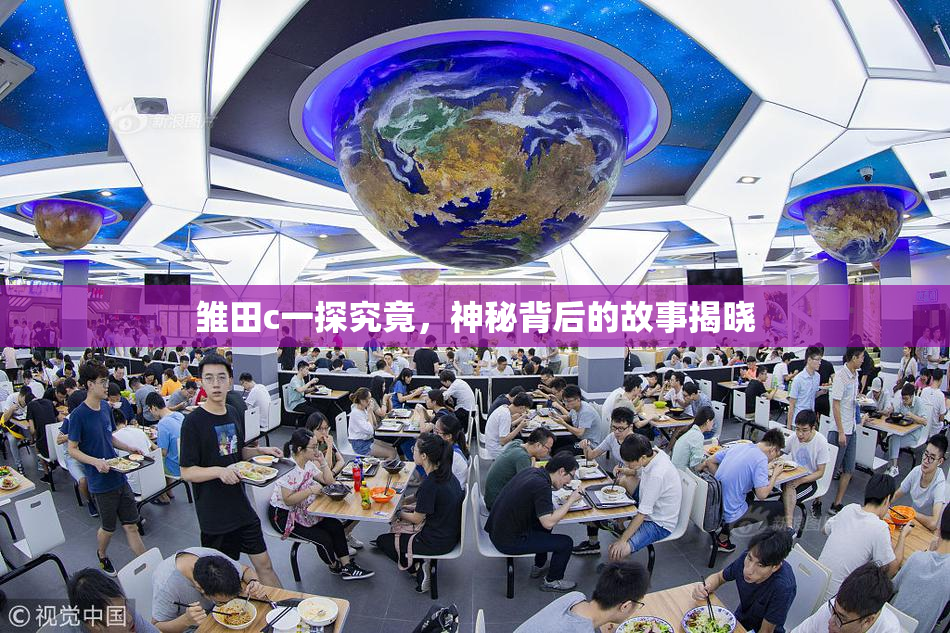雏田c一探究竟，神秘背后的故事揭晓