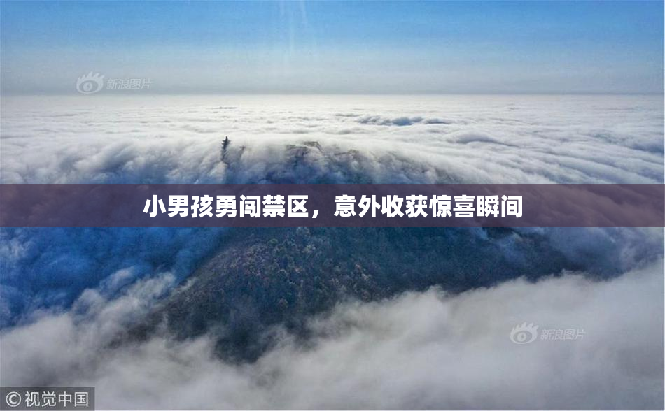 小男孩勇闯禁区，意外收获惊喜瞬间