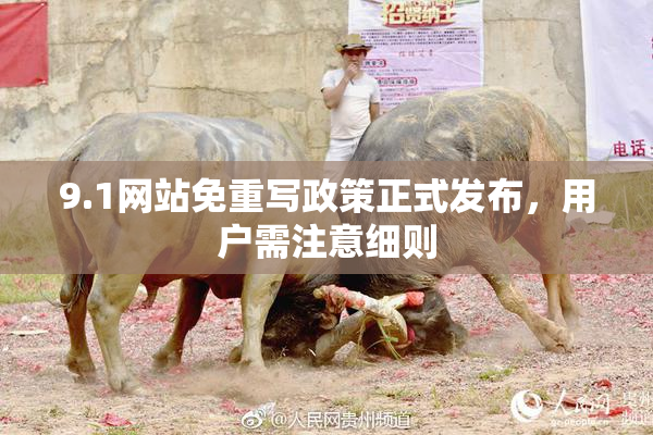 9.1网站免重写政策正式发布，用户需注意细则
