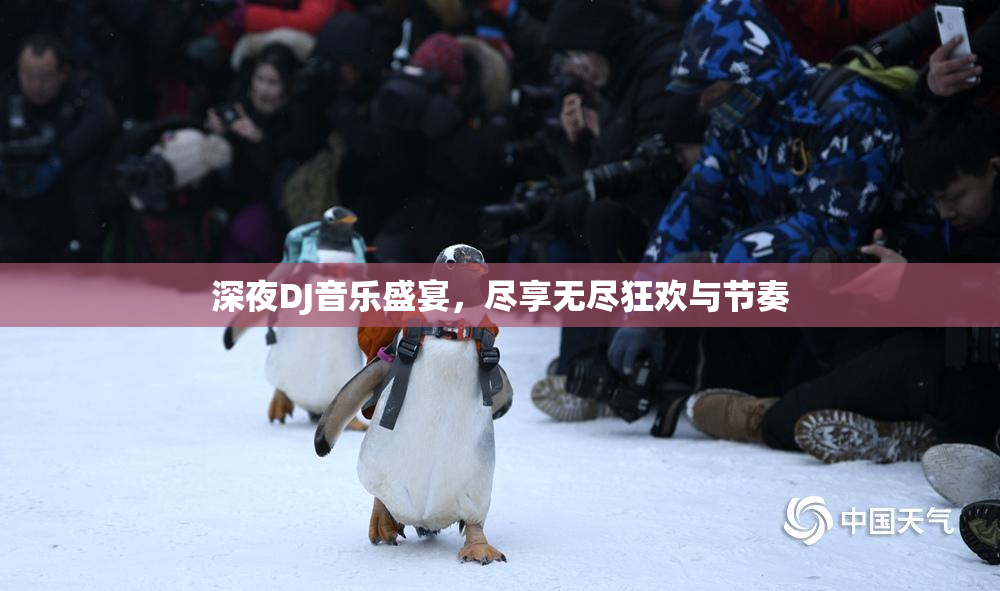深夜DJ音乐盛宴，尽享无尽狂欢与节奏