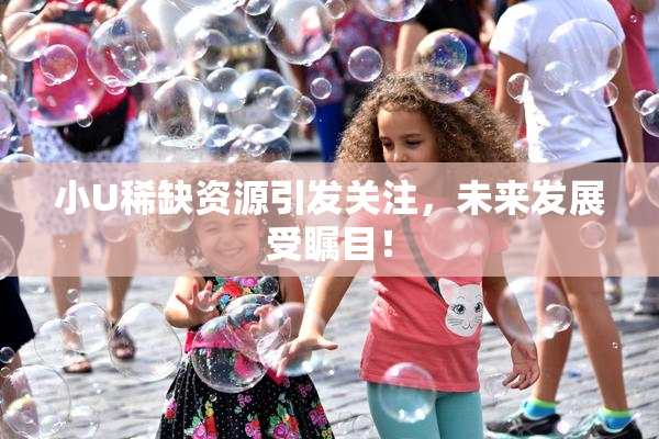 小U稀缺资源引发关注，未来发展受瞩目！