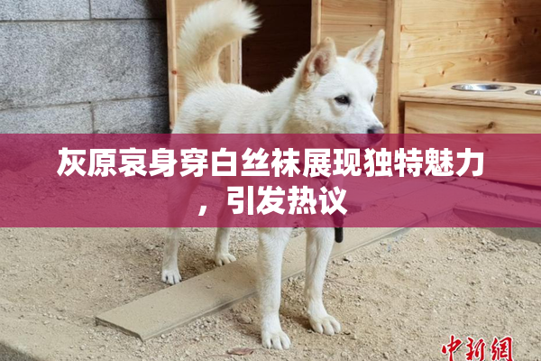 灰原哀身穿白丝袜展现独特魅力，引发热议