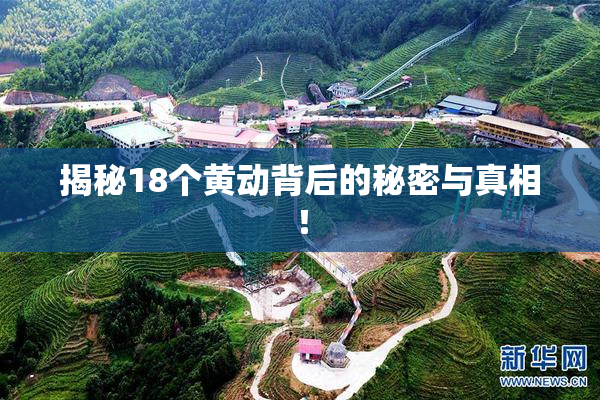 揭秘18个黄动背后的秘密与真相！