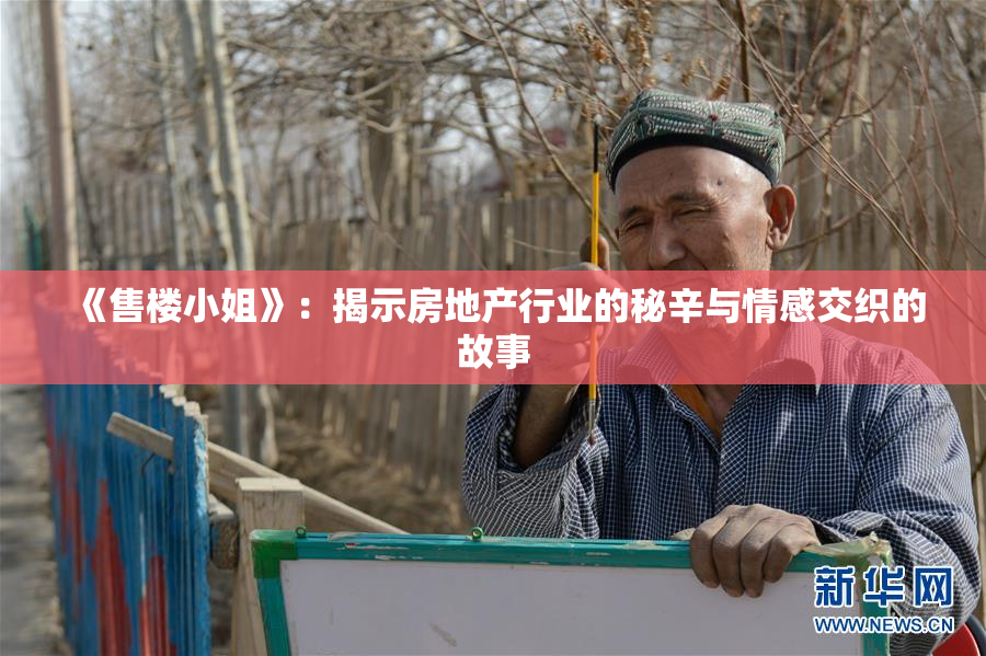 《售楼小姐》：揭示房地产行业的秘辛与情感交织的故事
