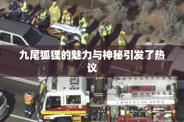 九尾狐狸的魅力与神秘引发了热议