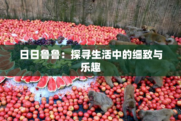 日日鲁鲁：探寻生活中的细致与乐趣