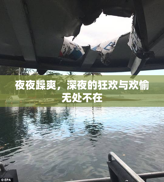 夜夜躁爽，深夜的狂欢与欢愉无处不在