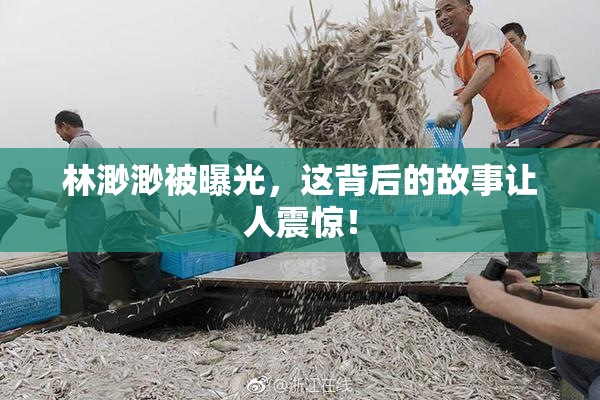 林渺渺被曝光，这背后的故事让人震惊！