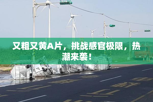 又粗又黄A片，挑战感官极限，热潮来袭！