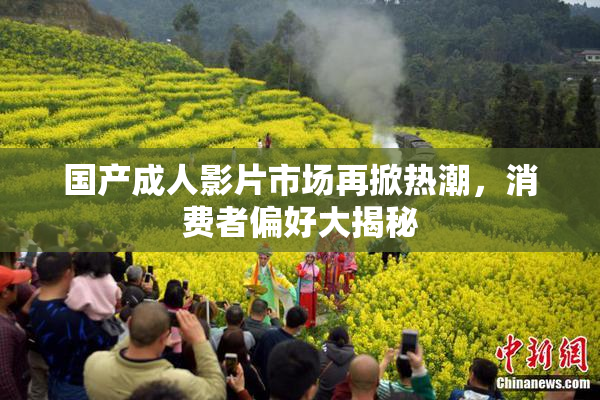 国产成人影片市场再掀热潮，消费者偏好大揭秘